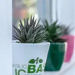 Апартаменты Lea *